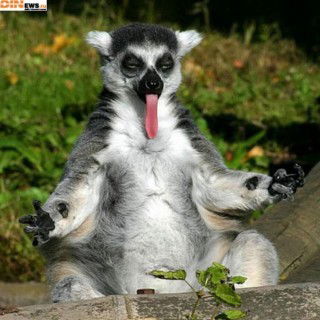 Ольга Ольга