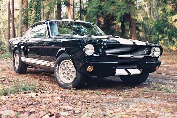 Гарик *********