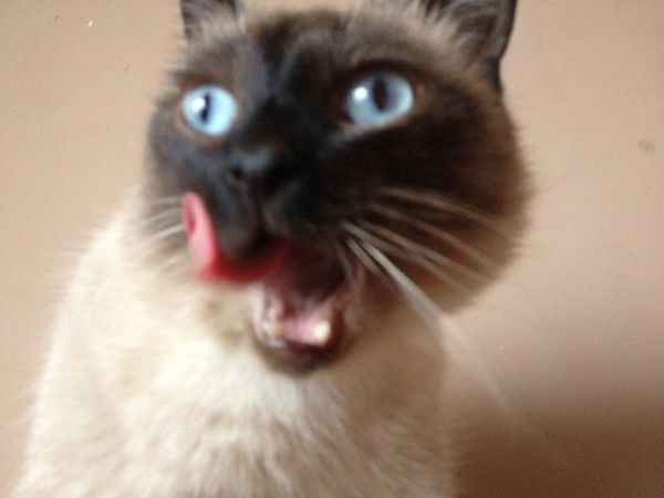 Оксана Стахнюк