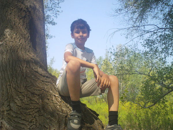 Дима Тютиков