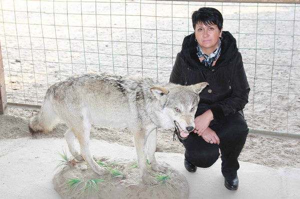 Людмила Терещенко