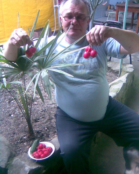 Павел Платонов