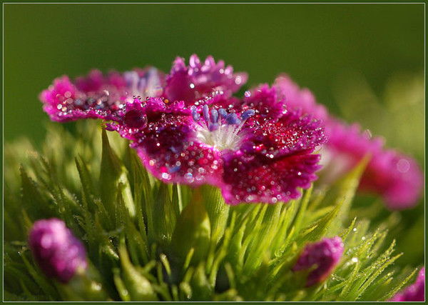 Ленок Байчурина