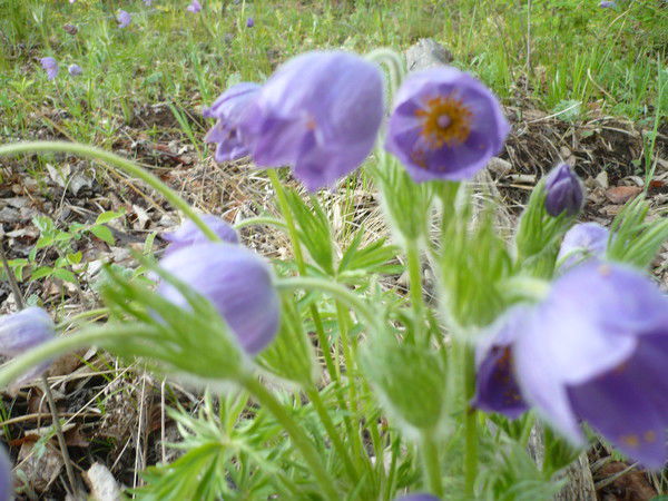 Татьяна Мигунова