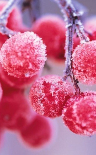 Ольга Александровна Паначёва