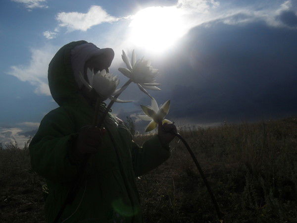 Татьяна Головачёва