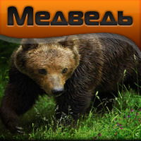 Вячеслав Гончаров