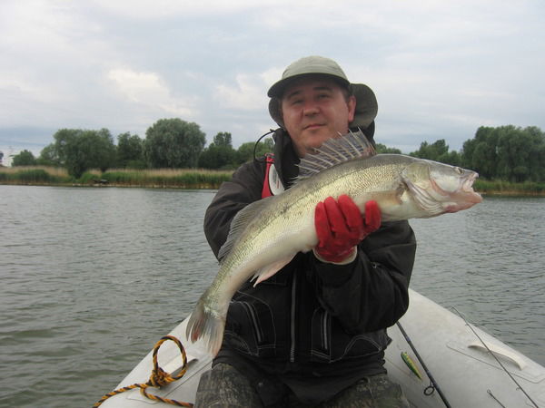 Олег Моисеев