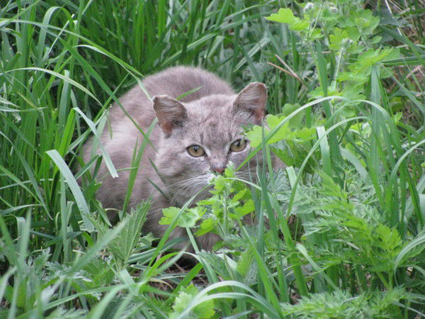 Сергей Максютов