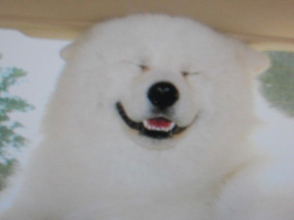 Евгений Шошин