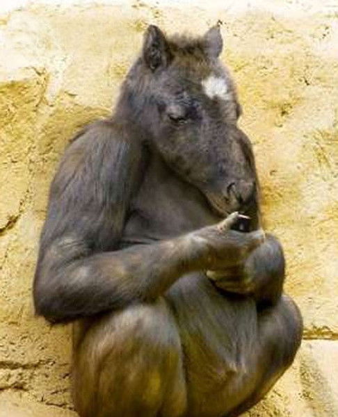 Иван Иванов