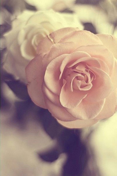 Нэля Надырова (Галяутдинова)