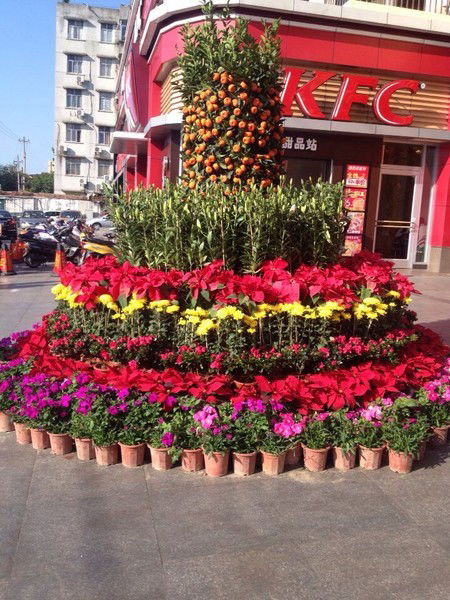 Магомед Алиев