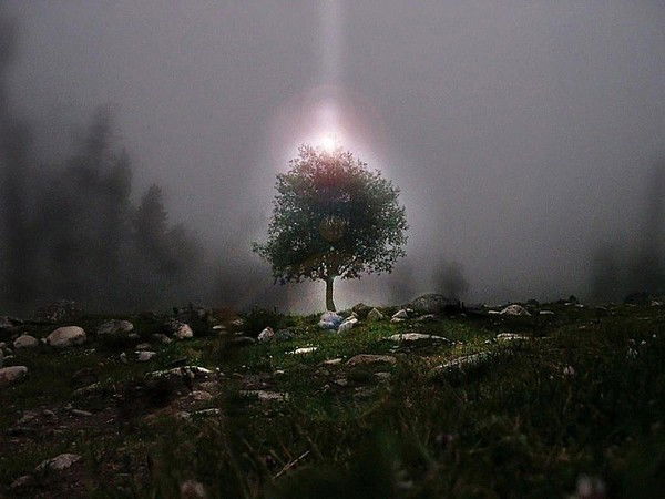 Елена Костылева