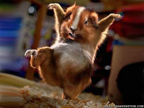 Юра Лендинёв