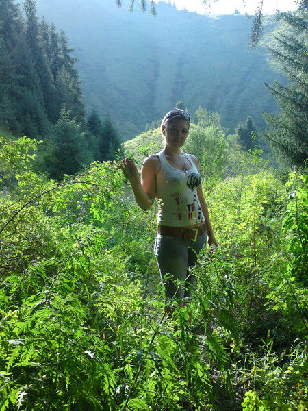 Анна Петрикова