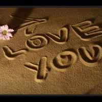 Арина Терентьева