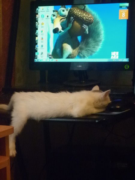 Кутырёв Рома