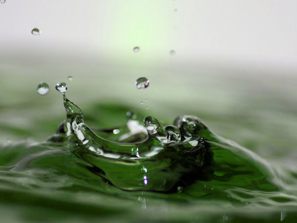 Лидия Петрук