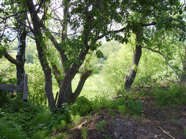 Валентина Нудина