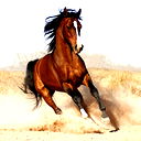 Султан Абаев