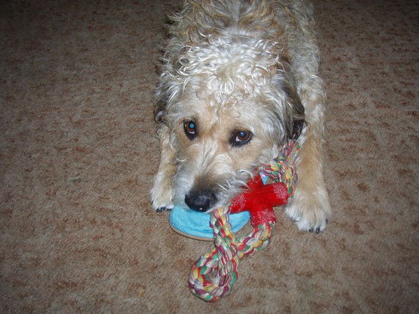 Александр Кузнецов