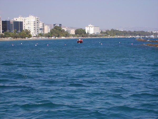 Марина Дебелева