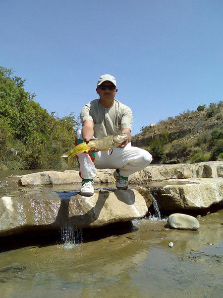 Владимир Демчук