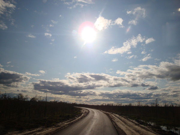 Владимир Бенедюк