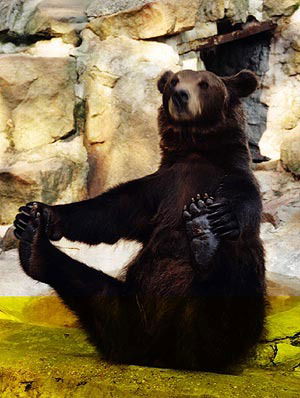 Андрей Поцелуев