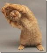 Ирина Коваленко