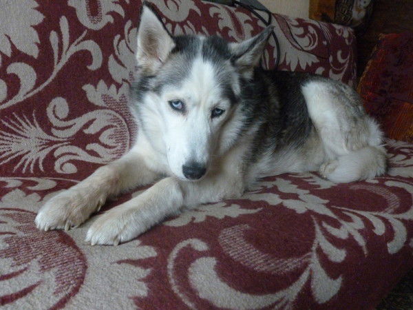 Руслан Воробьев