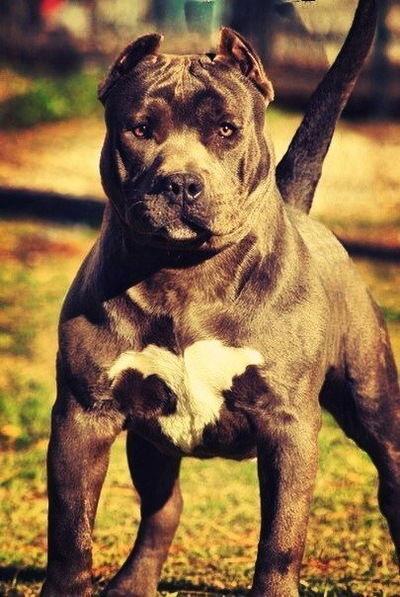 Ильназ Хусаинов