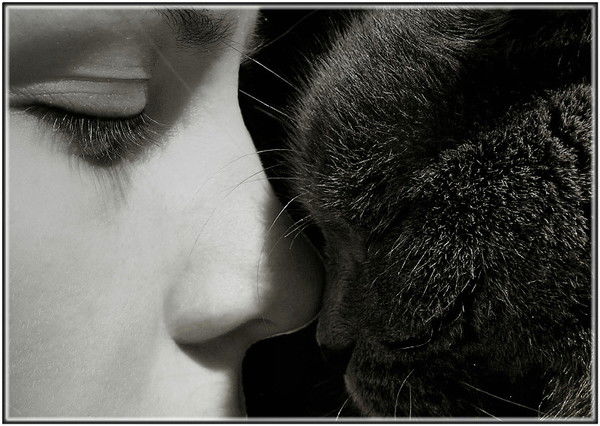 Светлана Дьяконова