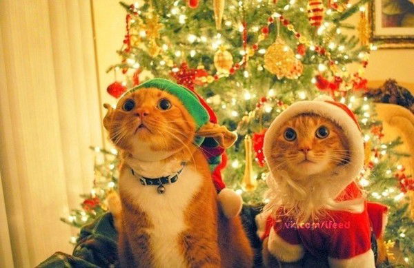 Вадим Беляев