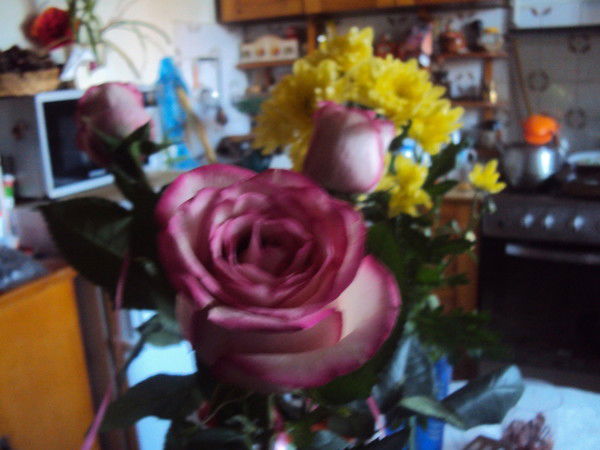 Светлана Налётова