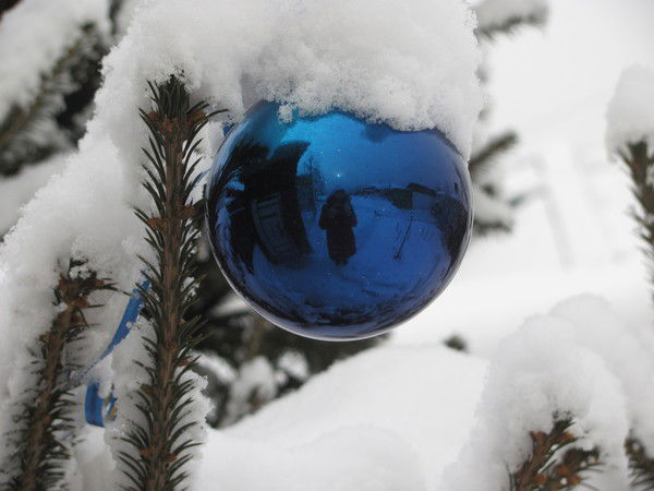 Светлана Терских