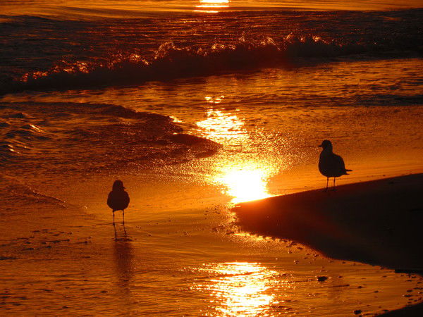 Ляля Хальфина