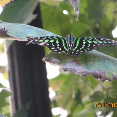 Жанна Лахина (Осинкина)