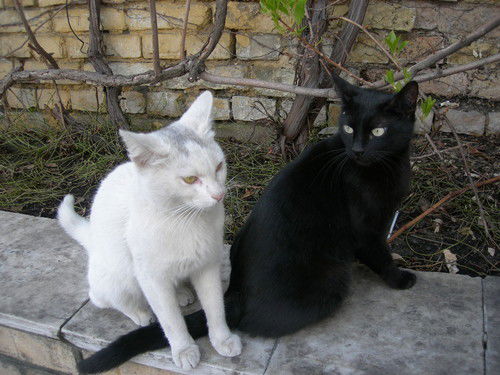 Валентина Лушникова