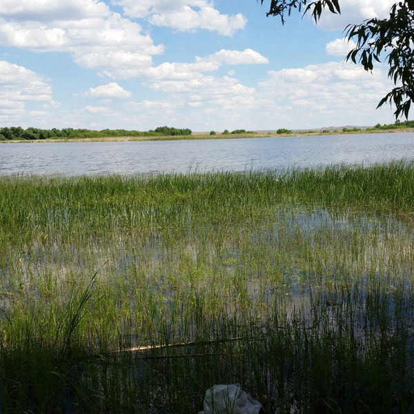 Лейла Айткенова