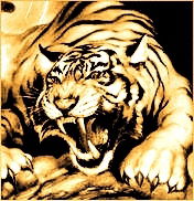 Марина Широбокова