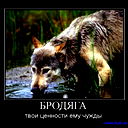 Я Волк