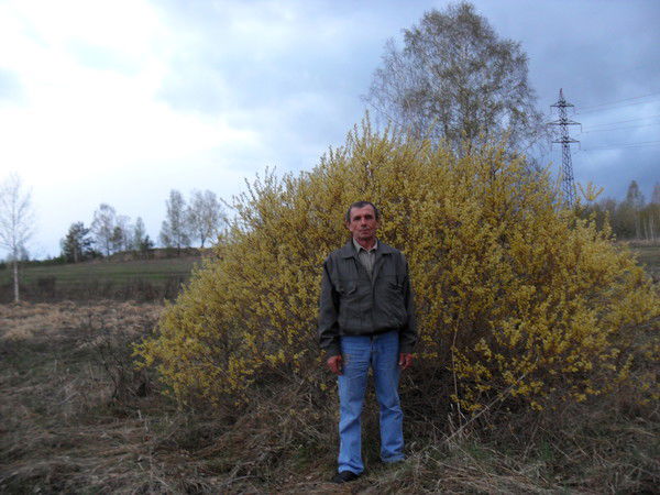 Виктор Прытков