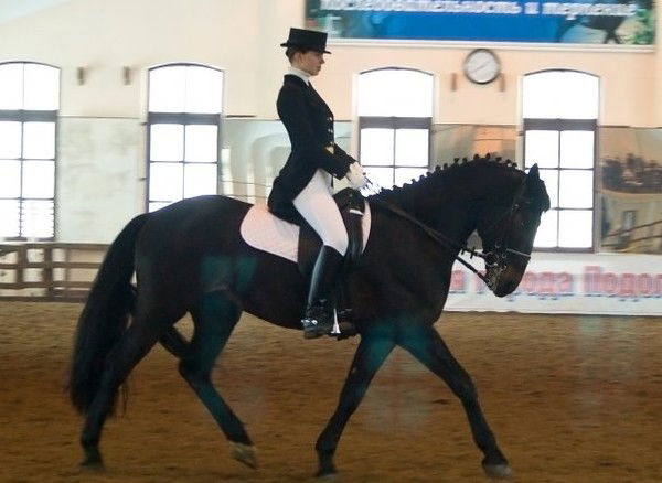 Светлана Крашенинникова