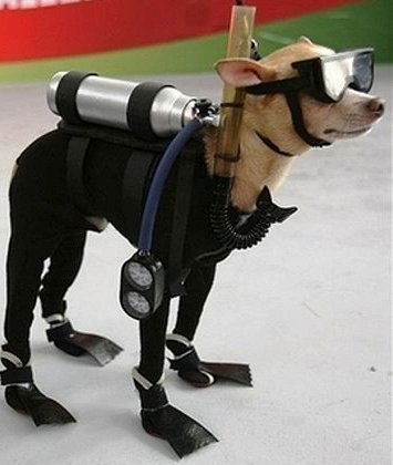 Евгений Кислов