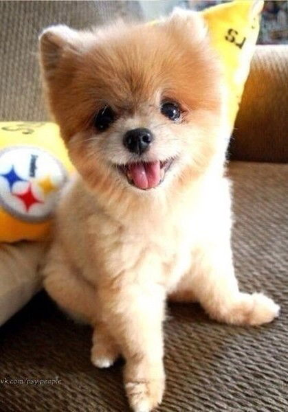 Лерочка Мисс