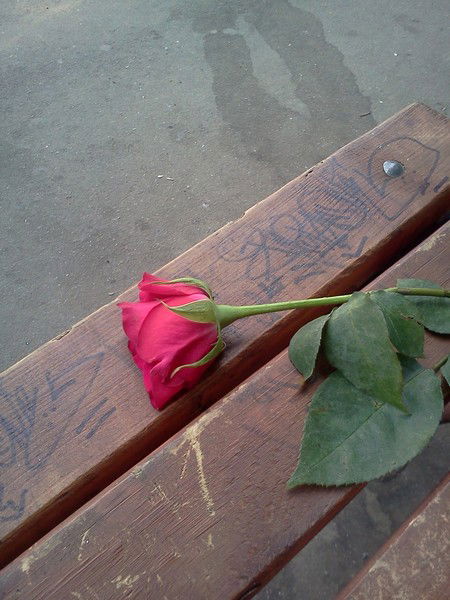 Зоя Щербакова