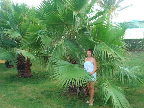 Галина Макарова