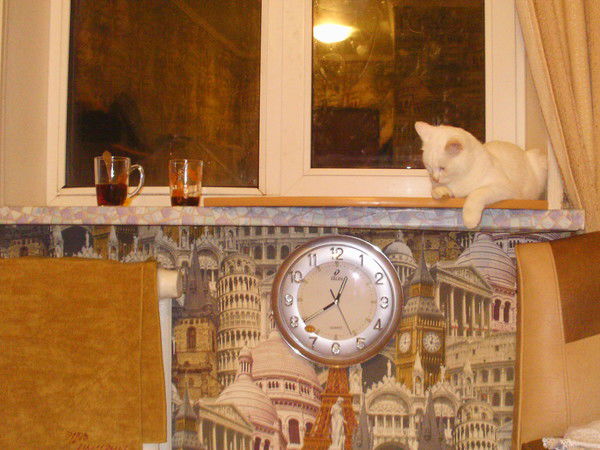 Ксения Анатольевна